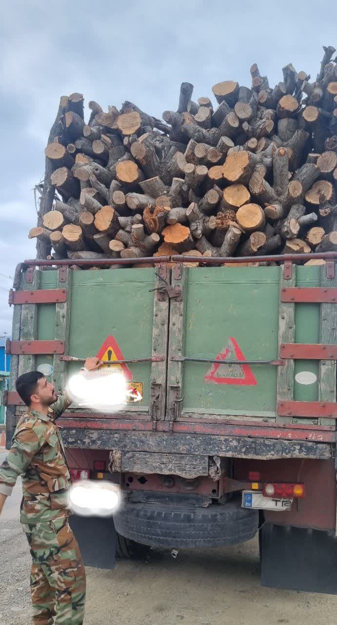 قاچاق چوب آلات جنگلی در فومن