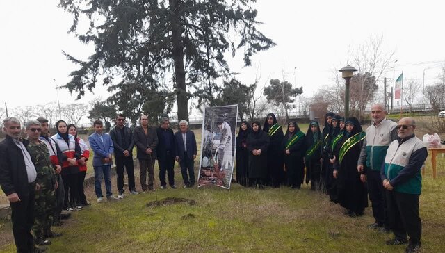 کاشت نهال گونه‌های جنگلی در بندرانزلی