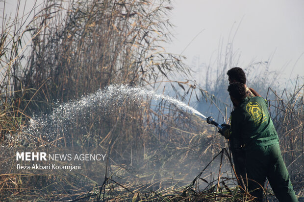 حریق حدود 10 هکتاری در نیزارهای تالاب انزلی؛ عملیات مهار ادامه دارد
