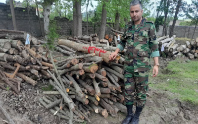 کشف و ضبط چوب آلات قاچاق در رودسر
