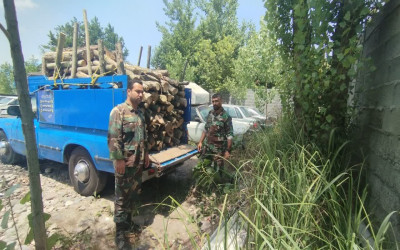 کشف و ضبط چوب آلات قاچاق در خمام