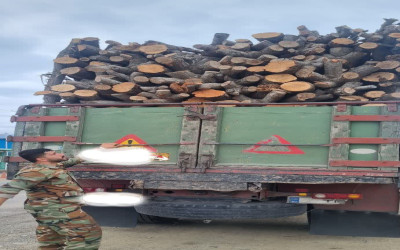 قاچاق چوب آلات جنگلی در فومن