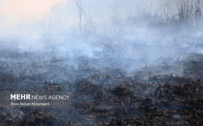 حریق ۳۰۰۰ مترمربعی در منطقه پیرعلی ده خشکبیجار مهار شد