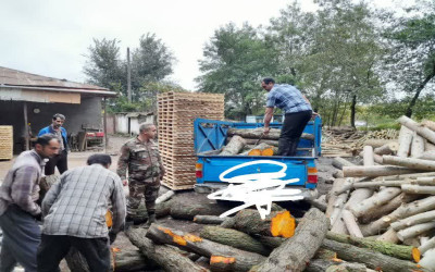 کشف چوب آلات قاچاق در صومعه سرا