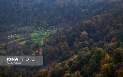لزوم همکاری نزدیک با فراجا برای مبارزه با سوداگران طبیعت