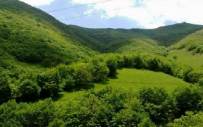 رئیس اداره منابع طبیعی لنگرود:یکی از اولویت‌ها مقابله با تصرف اراضی ملی است