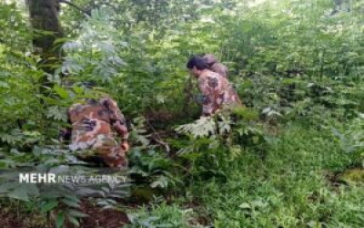 رئیس اداره منابع طبیعی رودسر اعلام کرد: حکم قضایی رفع تصرف ۲۵۰۰ مترمربع اراضی ملی در رحیم‌آباد