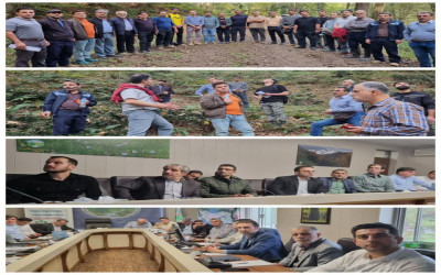 عزم و اراده کارشناسان جوان جنگل؛ با ارائه آموزش‌های فنی به پرواز در آمد