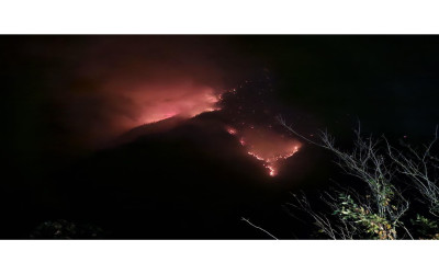 ورود دادستانی به آتش سوزی جنگل‌های الیت/ تحقیقات برای علت آتش‌سوزی ادامه دارد