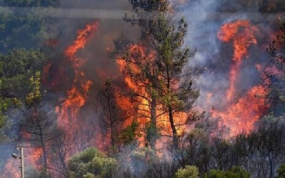 مرزبانی: آتش دوباره در جنگل های ماسال برافروخته شد
