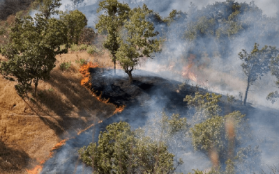 سرخ‌سنگان ماسال دوباره شعله‌ور شد