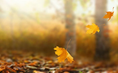 هشدار افزایش خطر آتش سوزی در جنگل‌ها و مراتع گیلان