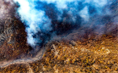 حریق ۱۰ هکتار از جنگل‌ های گیلان