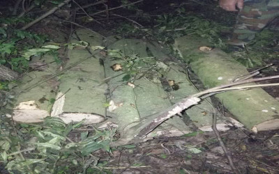 کشف وضبط چوب آلات قاچاق در تالش