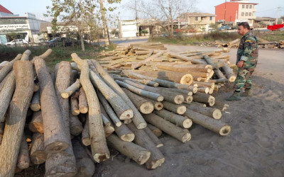 کشف چوب آلات قاچاق در شهرستانهای استان گیلان