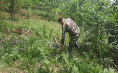 آزادسازی اراضی ملی در شهرستان فومن